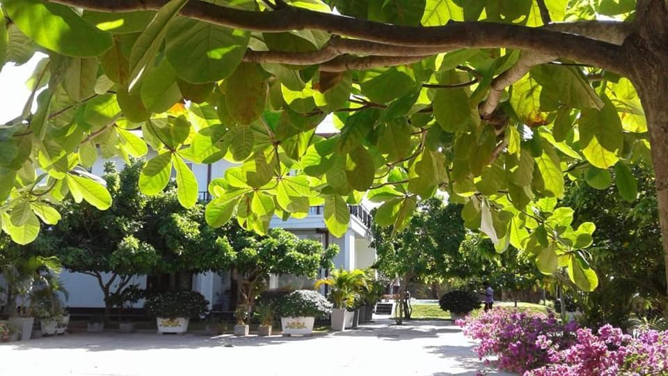 Sea Lagoon Beach Hotel تريكونامالاي المظهر الخارجي الصورة